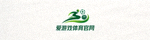 爱游戏体育官网Logo - 绿色体育竞技标识